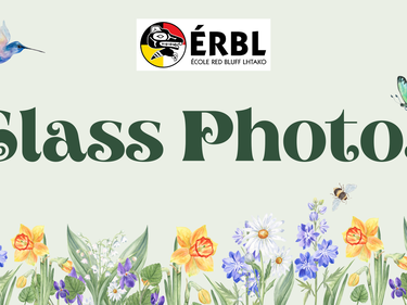 Class photos