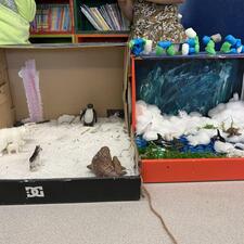 Biome Box3